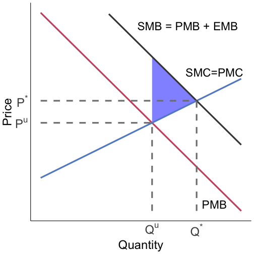 pos externalities generate DWL